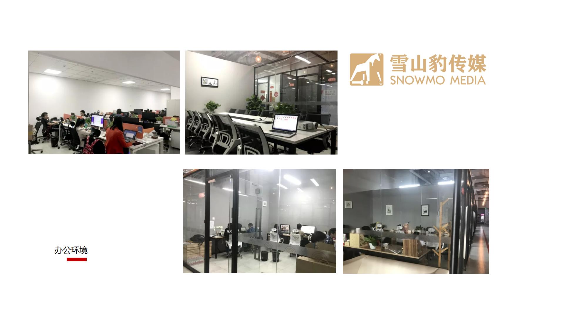 雪山豹传媒公司介绍_01(2).jpg